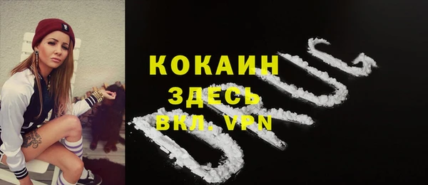 трава Пересвет